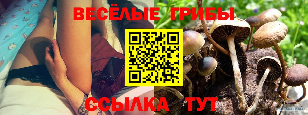 Галлюциногенные грибы GOLDEN TEACHER Куйбышев